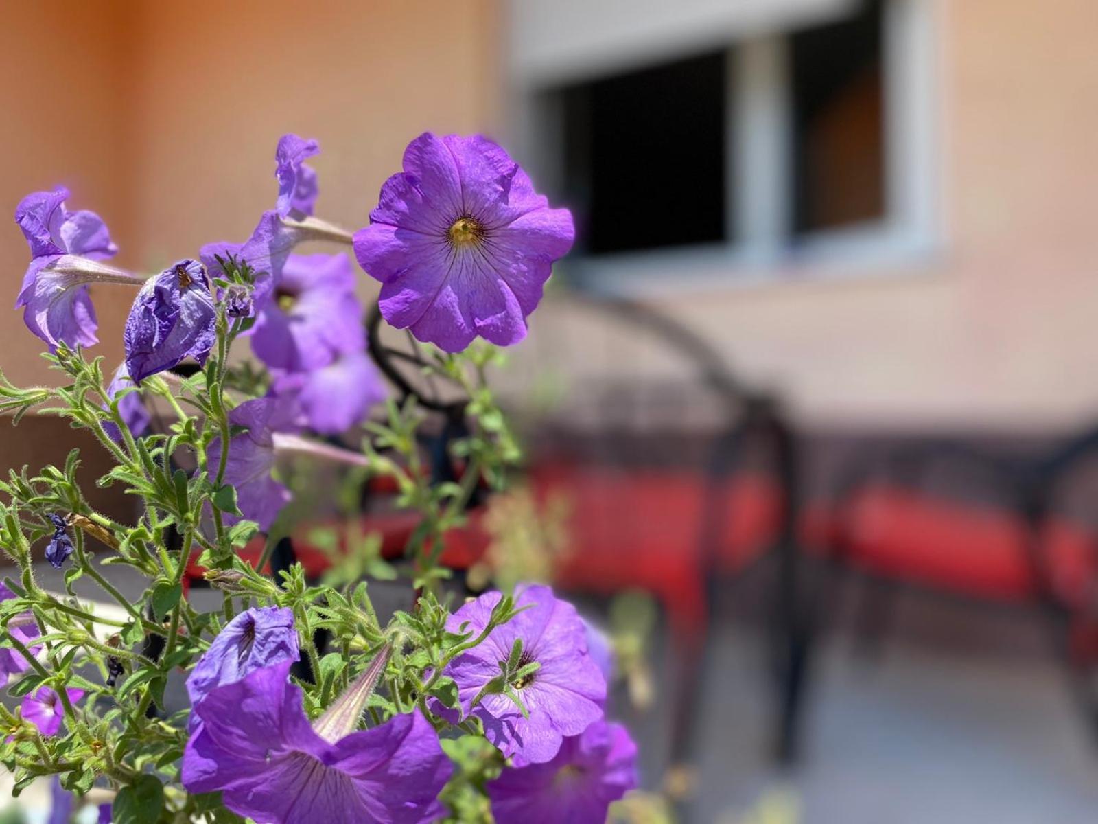 Apartment Sanjo Mostar Kültér fotó